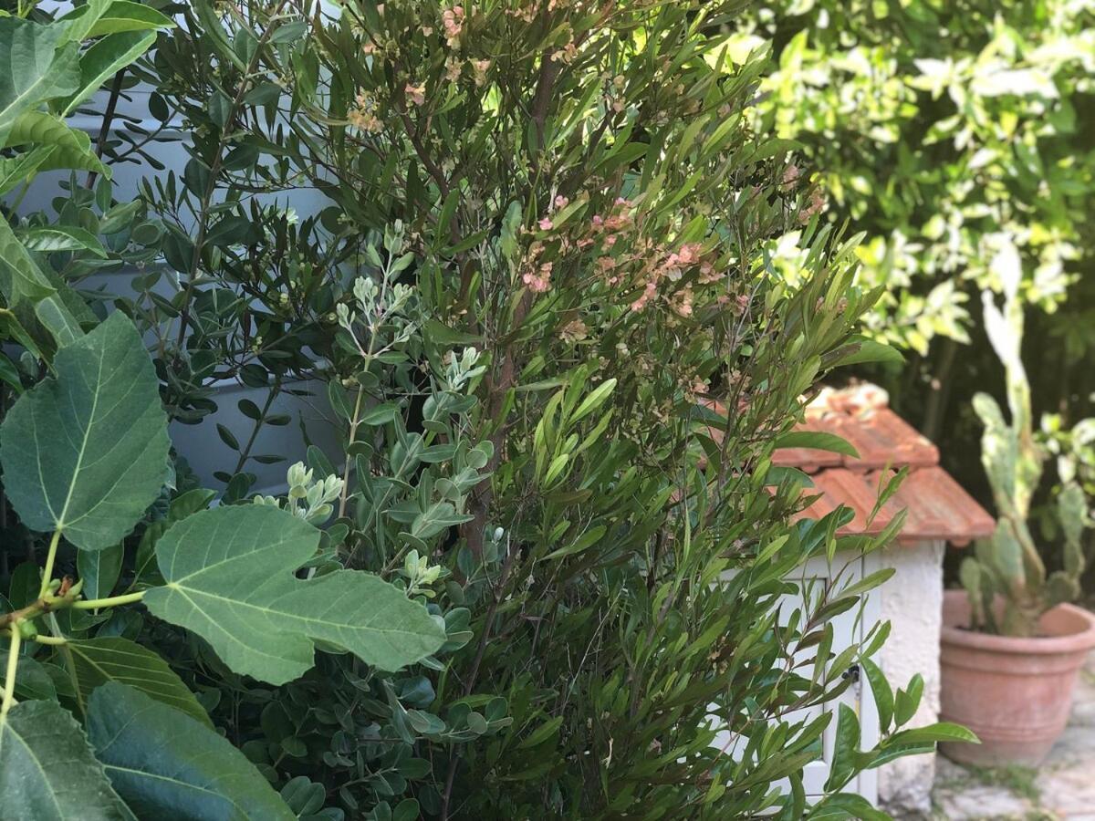 Willa Le Tre Palme Fontane Bianche Zewnętrze zdjęcie